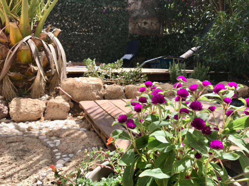 Casa Vivaqi Tenerife Granadilla De Abona Extérieur photo